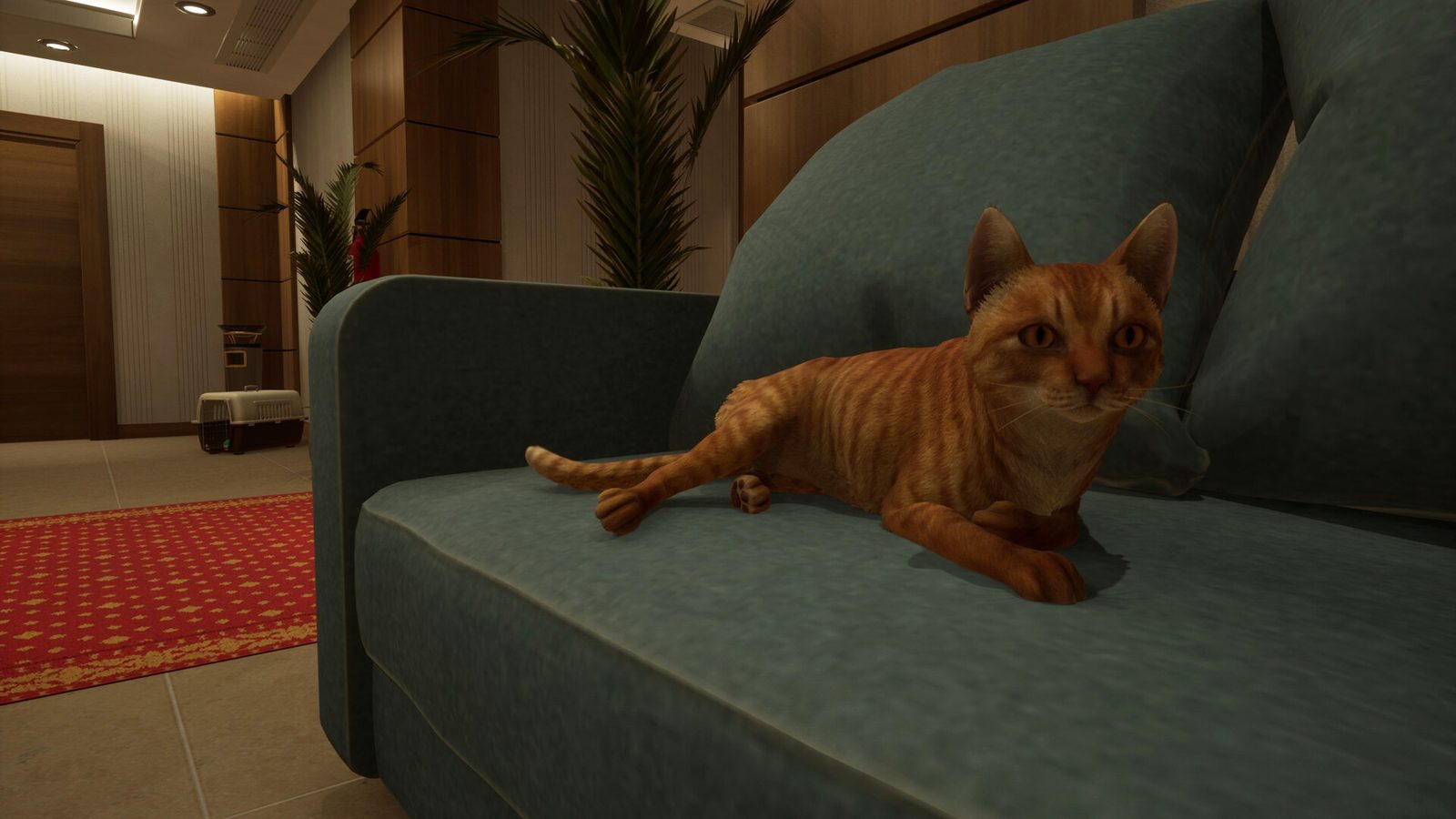 Official screenshot — the orange cat in the Kitty Lounge